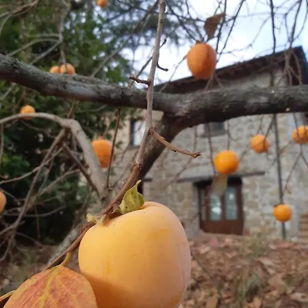 La Passione Charme House Bed & Breakfast