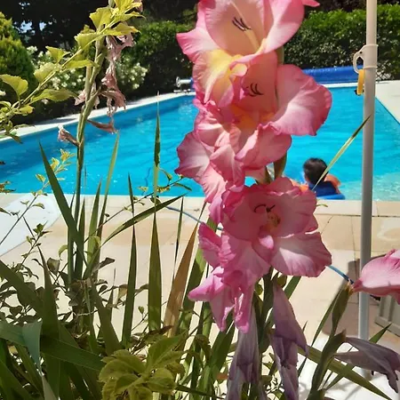 Oda ve Kahvaltı La Passione Charme House