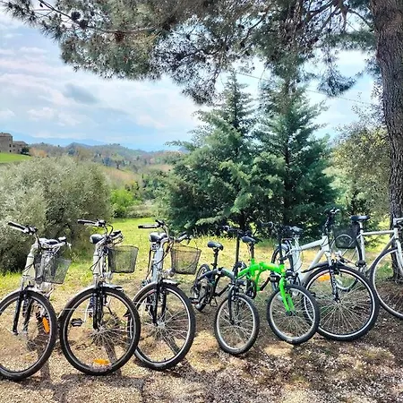 La Passione Charme House Venarotta