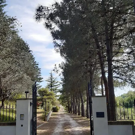 La Passione Charme House Bed & Breakfast Venarotta