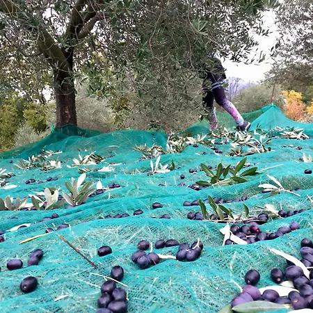 Bed & Breakfast La Passione Charme House 4*