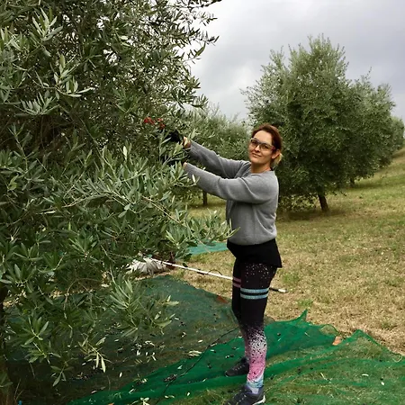 La Passione Charme House Oda ve Kahvaltı 4*