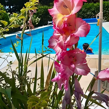 La Passione Charme House Venarotta