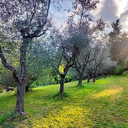 Bed & Breakfast La Passione Charme House 4*